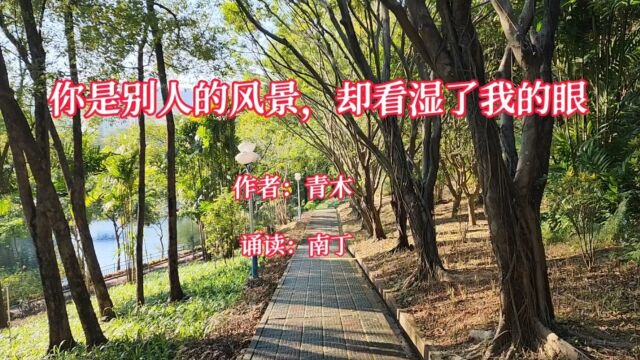 经典散文《你是别人的风景,却看湿了我的眼》作者:青木