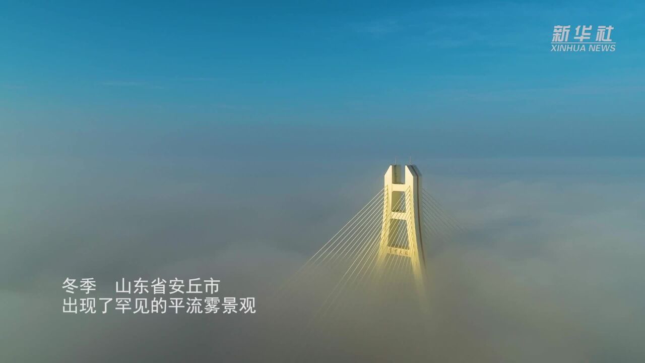 千城胜景|山东安丘:美丽晨雾