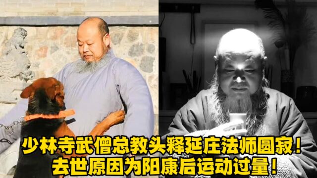 少林寺武僧总教头释延庄法师圆寂!去世原因为阳康后运动过量!