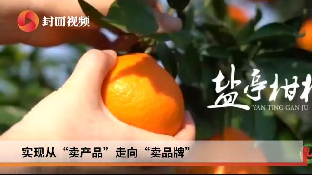 梓江鳜鱼盐亭火烧馍莲花湖鲢鱼…… 盐亭农产品有了新名字“嫘之味”