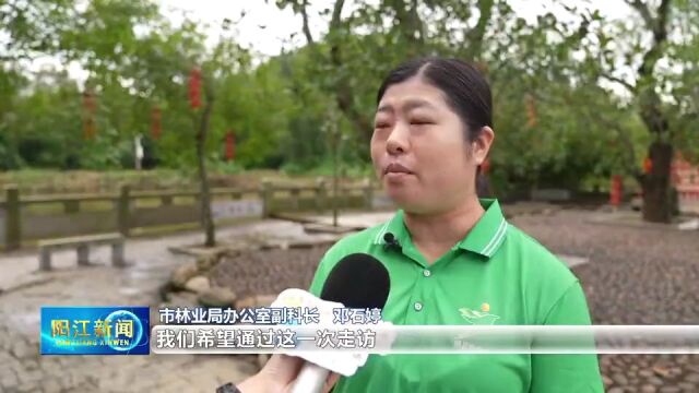 来了!《绿美广东竞风华》节目阳江海选进行实地走访