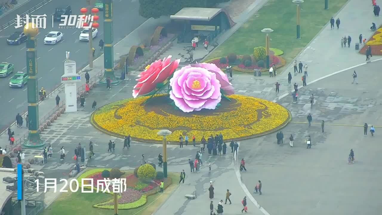 “花开盛世”!成都天府广场芙蓉花迎春雕塑 等你春节去打卡