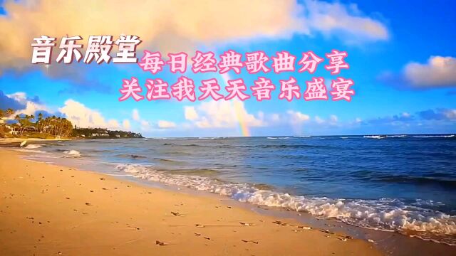 每日经典歌曲天天音乐盛宴