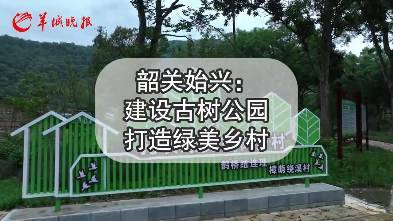 【视频】韶关:建设古树公园,打造绿美乡村 | 绿美岭南城ⷧ𛿧𞎦ሤ𞋀