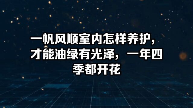 一帆风顺室内怎样养护,才能油绿有光泽,一年四季都开花