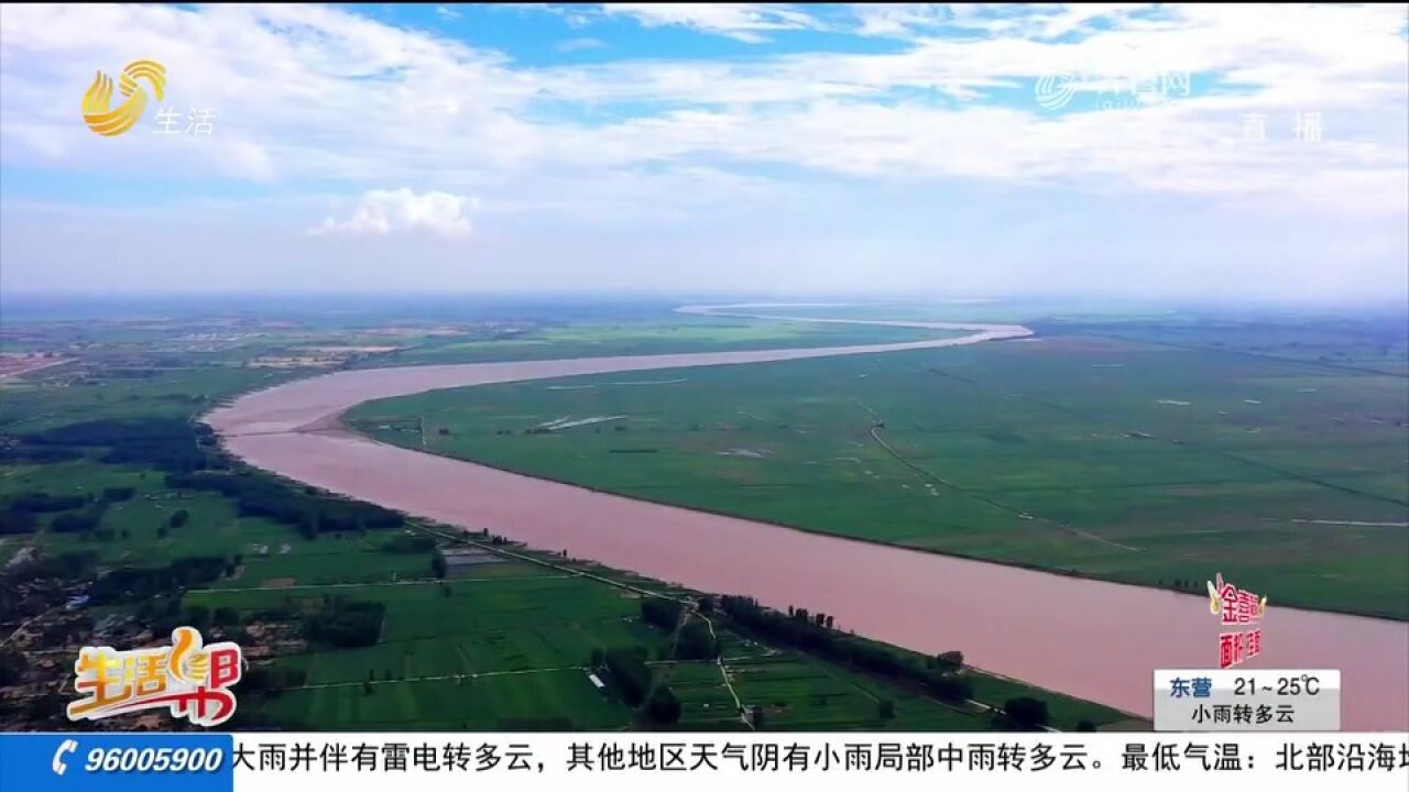 黄河东明段大河静美,秋景宛若一副水墨画,跟随镜头一起来感受