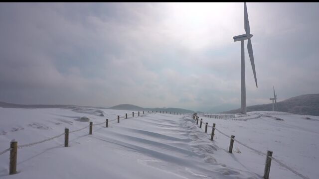 在荒芜人烟的雪地漫步 不知道你是否也会感到寂寥