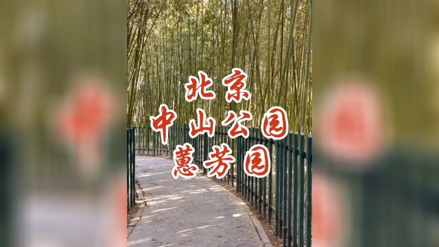 北京中山公园蕙芳园兰花展再拍