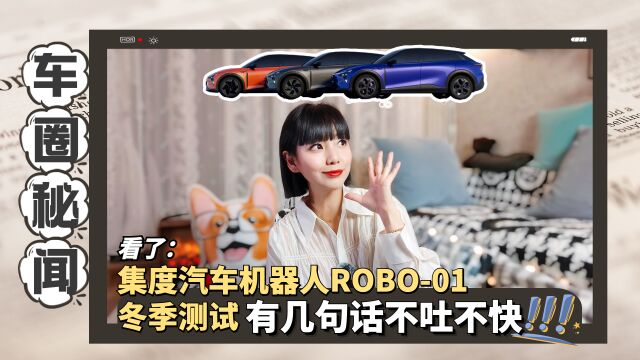 看了汽车机器人ROBO01冬季测试:有几句话不吐不快