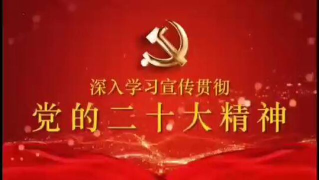 氢冶金公司赵智慧“中国式现代化的故事”