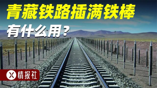 什么是“热棒”?青藏铁路两侧插满金属棒,到底有什么作用?