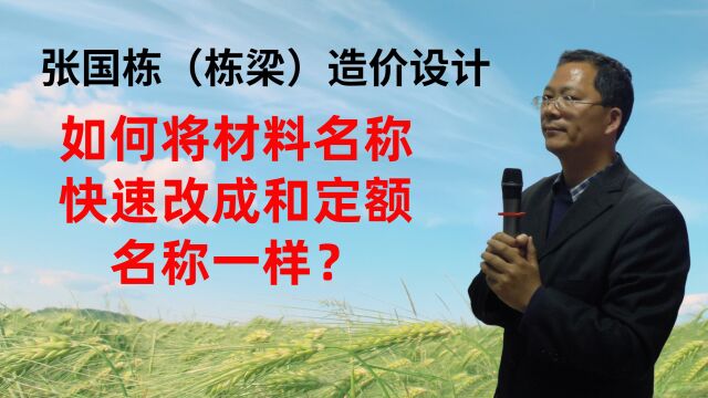 张国栋(栋梁)造价设计:如何将材料名称快速改成和定额名称一样?