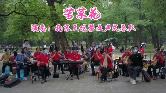 歌曲《苦菜花》,北京天坛琴之声民乐队演奏,感人肺腑