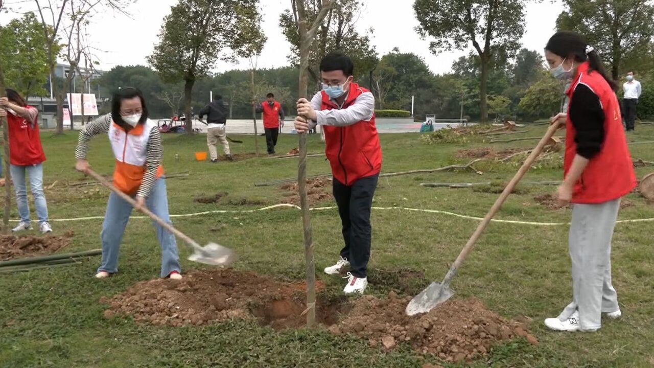 肇庆开展义务植树活动,积极推进绿美广东生态建设