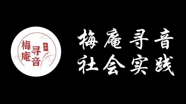 东南大学“梅庵寻音”实践小队总结视频