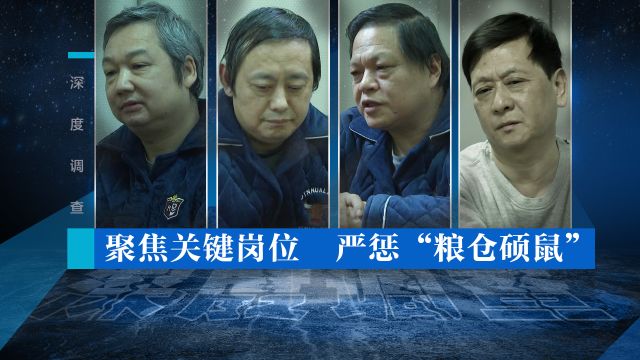 深度调查丨聚焦关键岗位 严惩“粮仓硕鼠”