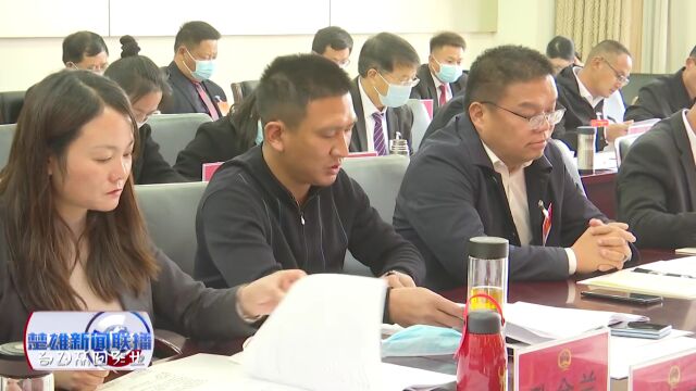 【聚焦两会】人大代表审议州人大常委会工作报告和“两院”工作报告