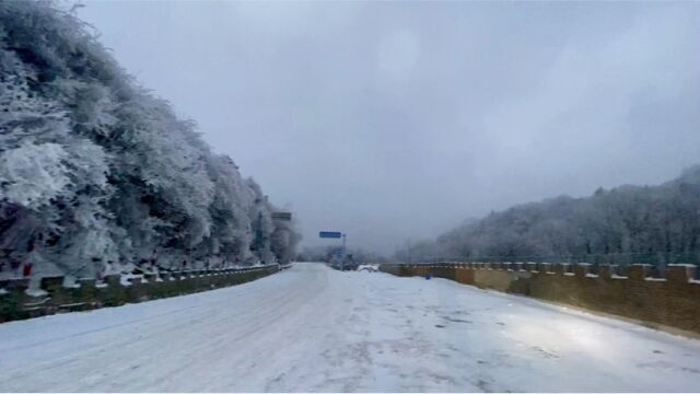 带你现场感受一下秦岭顶分水岭的温度#秦岭雪景 #分水岭#给南方朋友看看北方的冬天