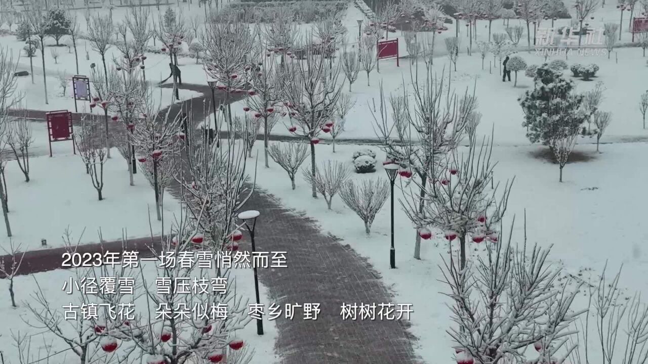 千城胜景|河北赞皇:晓风催春早 飞雪作梅花