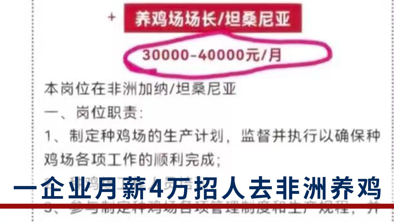 青岛一企业月薪4万招人去非洲养鸡:男女不限,不招20岁以下年轻人