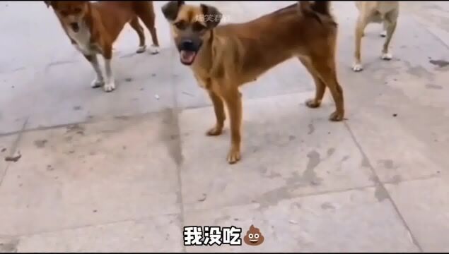 盘点吃螺蛳粉爆笑名场面,隔着屏幕都闻到这个味了