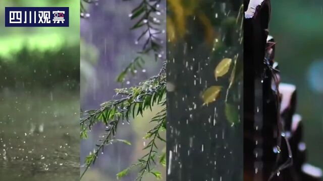 诗词里的雨:赋予每一场雨独特的名字