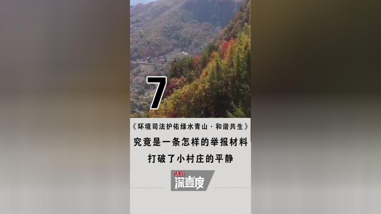 环境司法护佑绿水青山,——和谐共生7究竟是一条怎样的举报材料打破了小村庄的平静