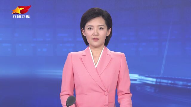 兵团:全力打造优质服务 确保项目高效落地