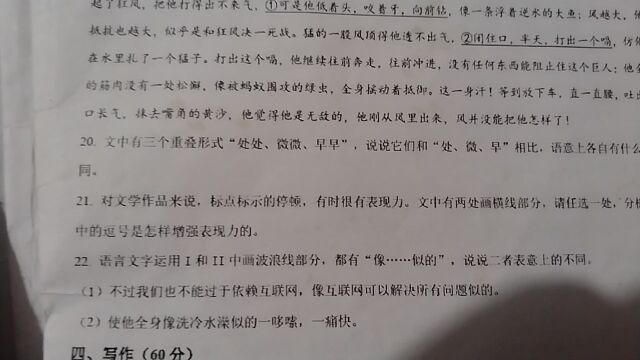 2023新高考一卷语文文字运用20