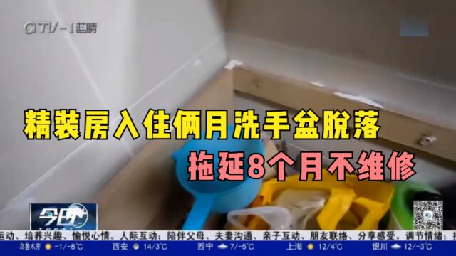 精装房入住俩月洗手盆脱落,拖延8个月不维修,住户大骂:不像话