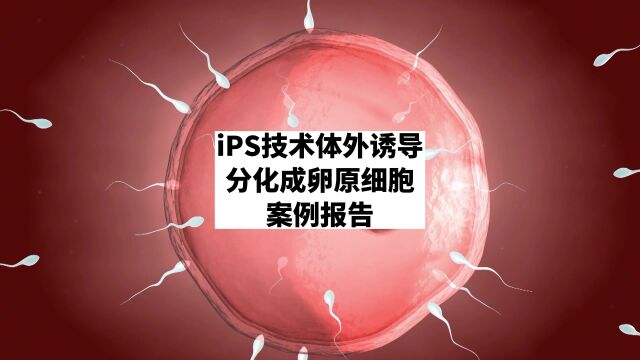 北联世纪:iPS技术体外诱导分化成卵原细胞形成卵子案例报告