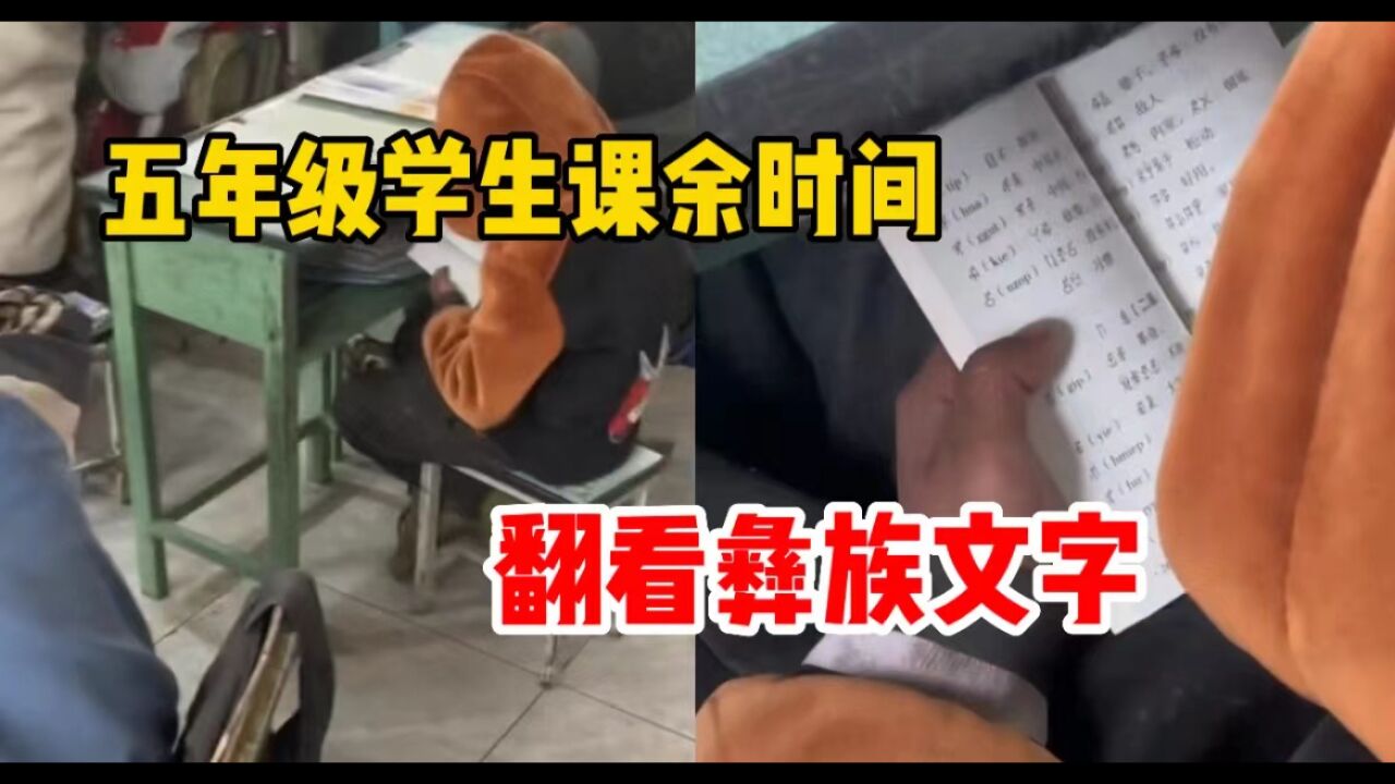 五年级学生课余时间翻看彝文检字典,班主任:看到很欣慰