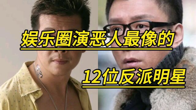 娱乐圈演恶人最像的12位反派明星