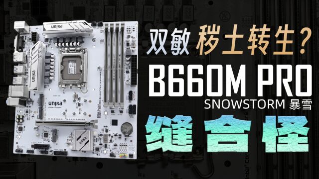 秽土转生,但是李鬼?双敏B660M PRO详细测评