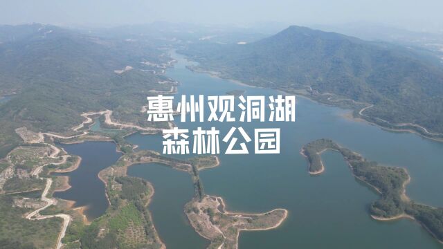 惠州观洞湖森林公园