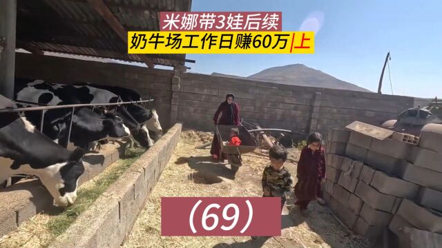 米娜带3娃最新后续,农场照顾奶牛,日赚60万伊朗里亚尔(上)