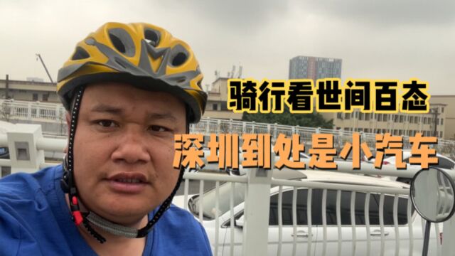 深圳到处是小汽车