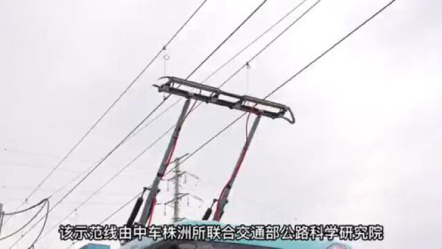 全国首条!湖南这条公路有点“炫酷”