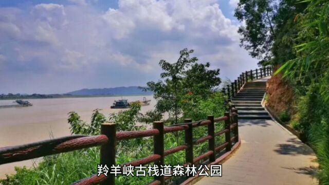 广东省内必去的秘境,羚羊峡古栈道森林公园惊艳亮相