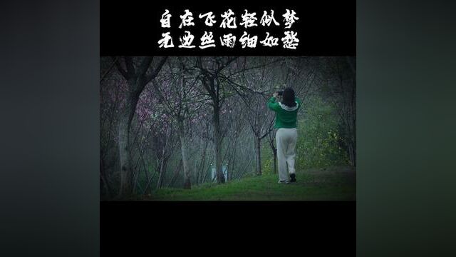 自在飞花轻似梦,无边丝雨细如愁.#你看不见的娄底