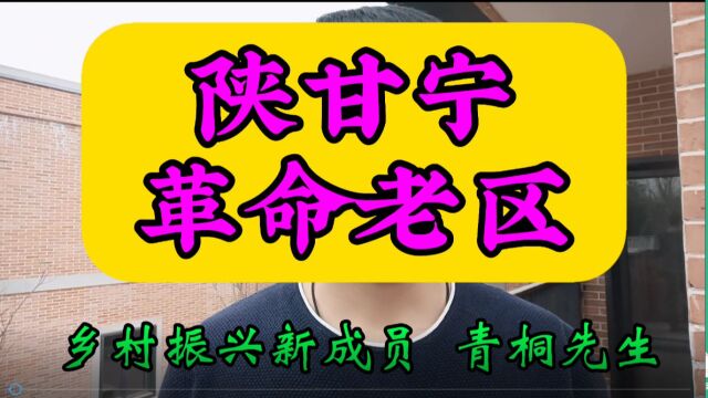 陕甘宁革命老区振兴,国家乡村振兴,青桐先生同时参与其中,发展中国乡村经济.