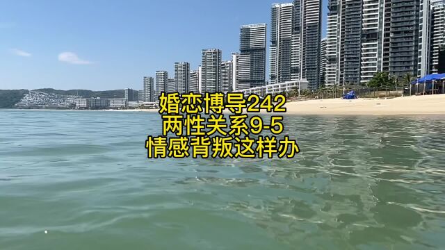 婚恋博导242两性关系95情感背叛这样办