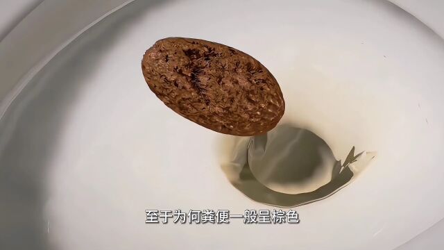 为什么便便是棕色而不是粉色或者绿色呢?