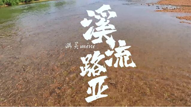 溪流钓丨幽灵mini带你探索溪流里的精灵