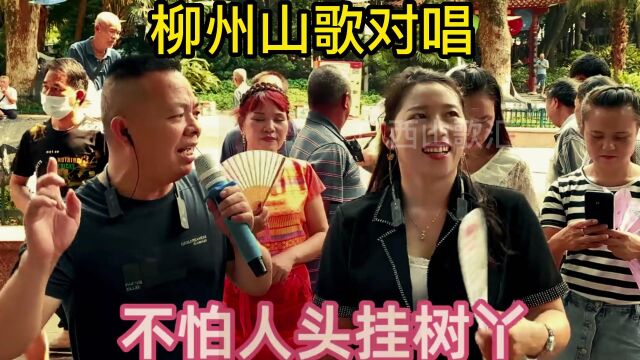 广西柳州山歌多人轮流对唱