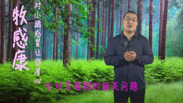 鹅群的情况你能很好观察吗,注意这些细节很有必要