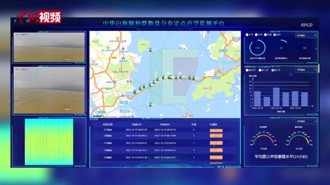 中国首个长江江豚、中华白海豚智慧监测平台建成