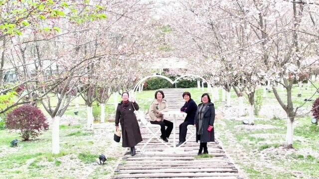 合肥:周末,游海棠花海,观樱花美景