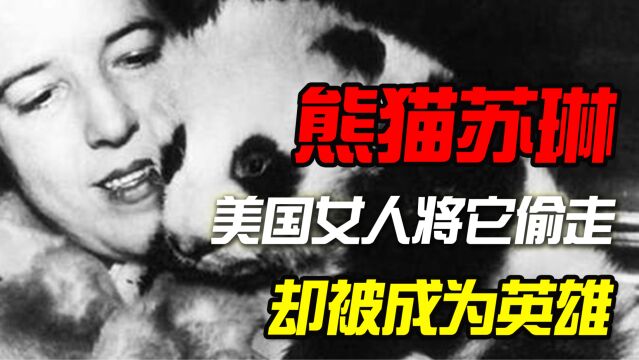 1936年大熊猫苏琳真实影像,美国女人将它偷走,却被奉为英雄