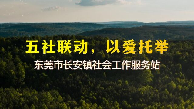 东莞市双百工程长安镇社会工作服务站工作成效展示